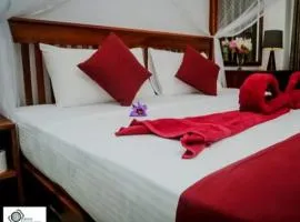 King's Marine B&B Surf Hotel