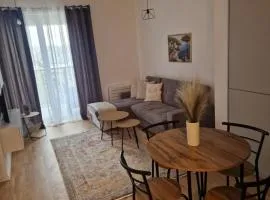Ribica Apartments