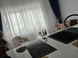 Apartament la casa zona centrala