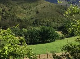 Jenny's Cottage at Jenny's Cream Products