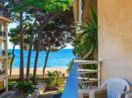 Tucan Planetcostadorada