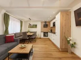 Stögergut by Schladming-Appartements