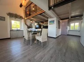 House Cian Cianin by Holiday World