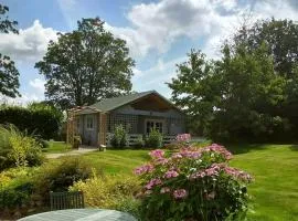 Cosy Log Cabin in Llanfoist village