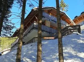 Golte Apartment Tibona