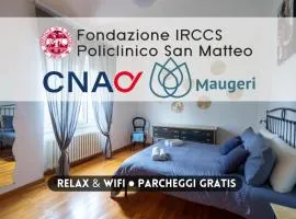 OSPEDALI e UNIVERSITÀ - Policlinico San Matteo a 300m - Parcheggio GRATIS