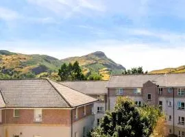 Arthur's Seat Nest