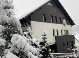 Pensiunea Franzdorf Alpin Valiug