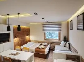 Apartment Dream Konaci