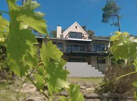 BestPlaceEver - Luxury House with Vineyard Views