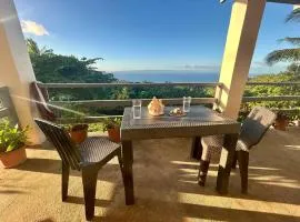 Siquijor Wejman Mountain Sanctuary