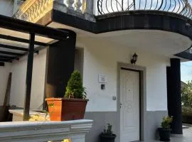 Villa Vaide
