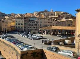 Salicotto 56