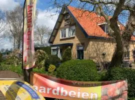 B&B Dol - Fijn