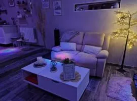 Studio avec jacuzzi , terrasse amenagée et wifi à Westrehem