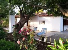 Maria's Home