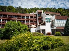 Hotel Flóra, hotel v Trenčianskych Tepliciach
