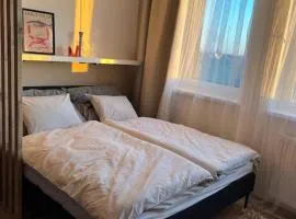 Small cozy apartment, coffee and parking free