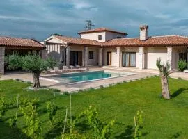 Beautiful Villa Lere with pool in Liznjan