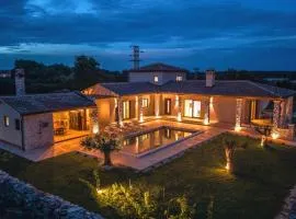 Beautiful Villa Lere with pool in Liznjan