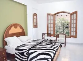 El Hady luxury apartment with swimming pool