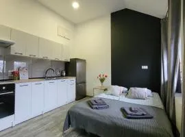 Apartamenty Parkowe nr 9