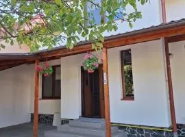 Casa in centrul Zalaului