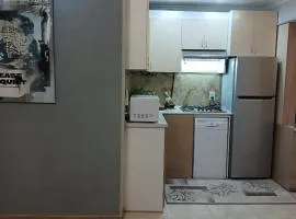 Apartment ANI