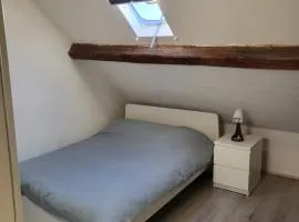 Enrike room 1