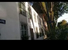 Flamingo 38 en SúperAnfitrión Coyoacán