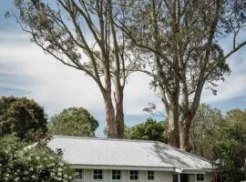 The Merribee, Villa Botanica