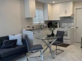 Modern Spacious 1BR minutes away from Main St