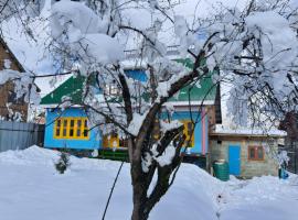 Conifer view guest house, B&B in Tangmarg