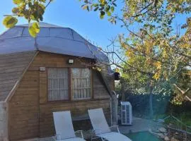 בקתת עץ בחורש במנות - דום גיאודזי - Wooden cabin in Manot