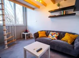 Studio mezzanine à 20 min de Strasbourg