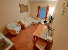 Apartmán u Ski Javor - 1x soukromé parkování