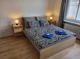 City Center Apartments - Moderna Brno Římské náměstí IV