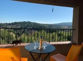 Duplex T3 climatisé centre terrasse parking payant