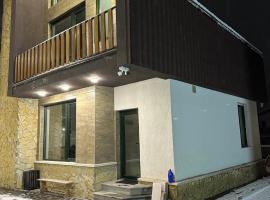 Bakuriani Cottages, vila v destinaci Bakuriani