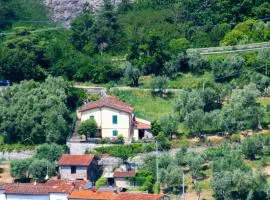 Casa Natalina