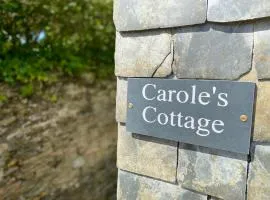 Carole's Cottage - Private Parking, Sea Views, Garden & Close To Harbour & Beach