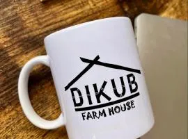Dikub Farmhouse