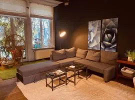 Spacious duplex with terrace in the middle of the center