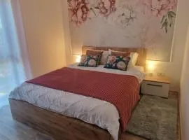 Blooming Apartment, Baile Felix