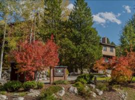 The Waterford #27, ξενοδοχείο σε Steamboat Springs