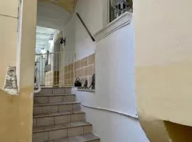 Suite Carmen