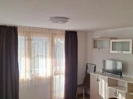 Студио Вили