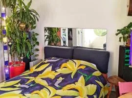 Canopée, paisible, chaleureux, lumineux, balcon