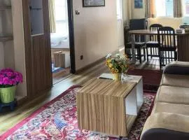 House of Forrest, Service Apartments