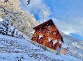 Cabana Mădălin, hotel in Gurani